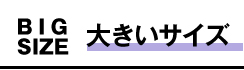 【安全靴】大きいサイズ