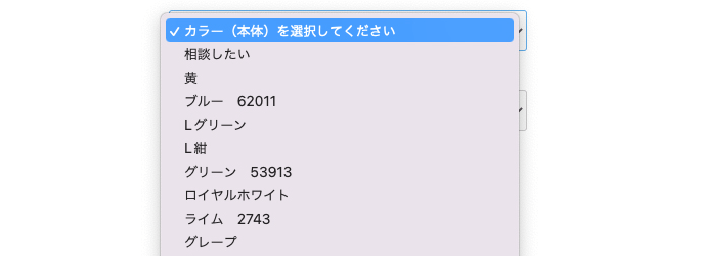 ヘルメットの注文時のカラー選択