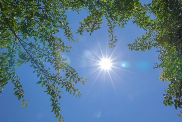 夏の日差しをイメージする写真